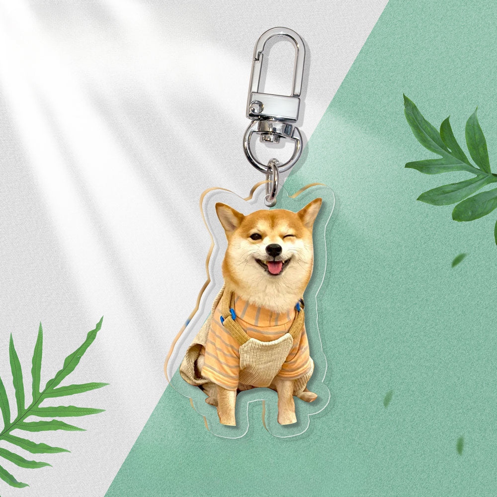 (1 WEEK WAIT) Pet keychain, custom acrylic photo, cat and dog pendant souvenir, transparent keychain