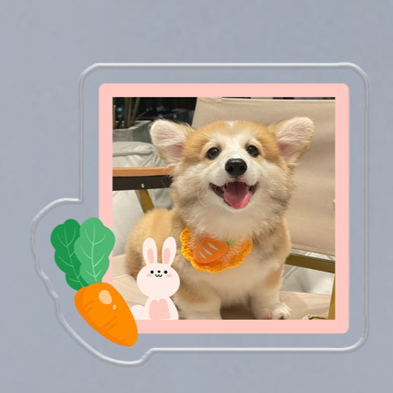 (1 WEEK WAIT) Customized photo, acrylic refrigerator sticker, pet kitten dog, magnet sticker custom