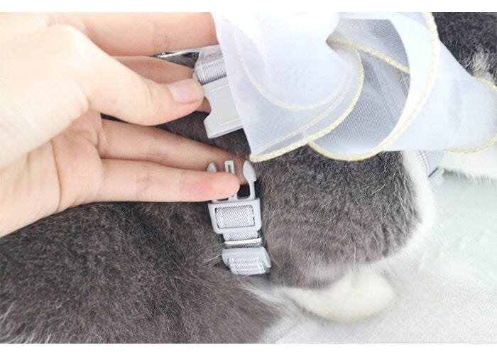 Hand-made romantic leash, bow out cat/dog breathable pet dog chain clothes