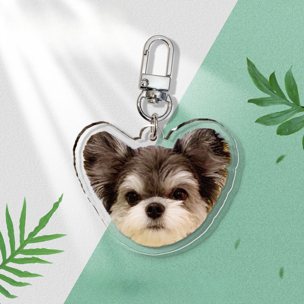 (1 WEEK WAIT) Pet keychain, custom acrylic photo, cat and dog pendant souvenir, transparent keychain