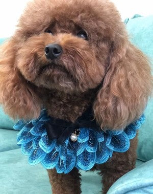 Hand-made saliva towel, cat/dog bib, collar, bow tie