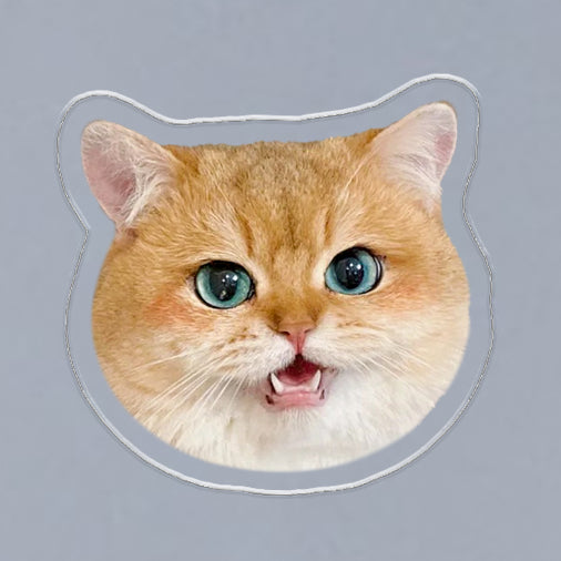 (1 WEEK WAIT) Customized photo, acrylic refrigerator sticker, pet kitten dog, magnet sticker custom