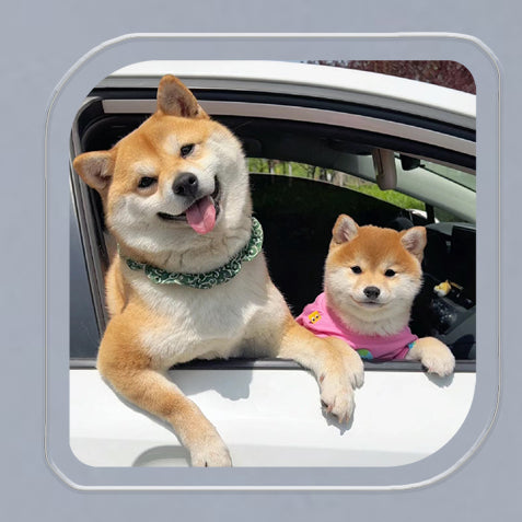 (1 WEEK WAIT) Customized photo, acrylic refrigerator sticker, pet kitten dog, magnet sticker custom