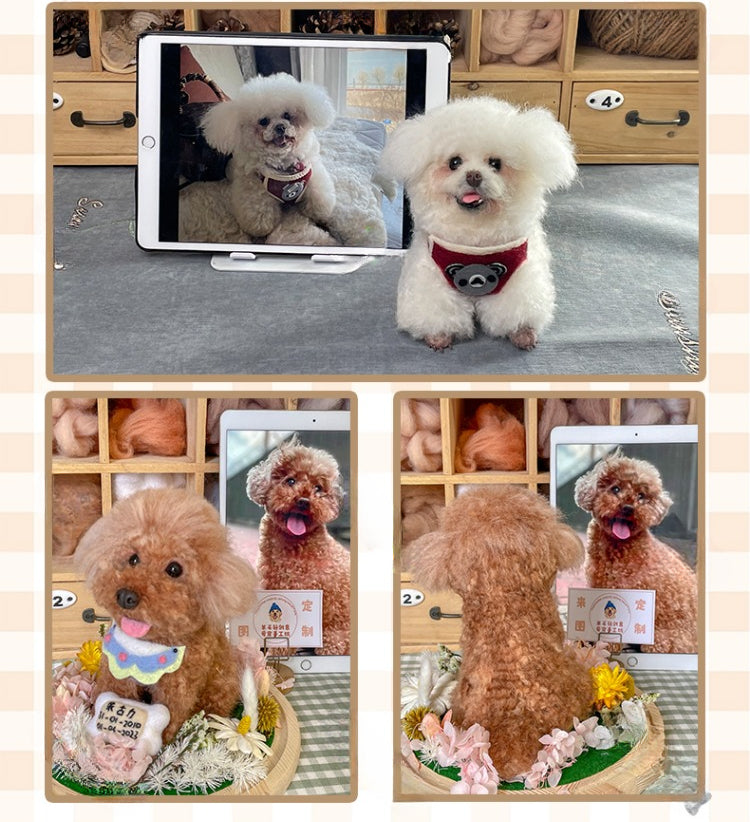 (1.5 MONTHS WAIT) Full body customization, wool felt DIY, simulated pet cat and puppy, gift living room ornament