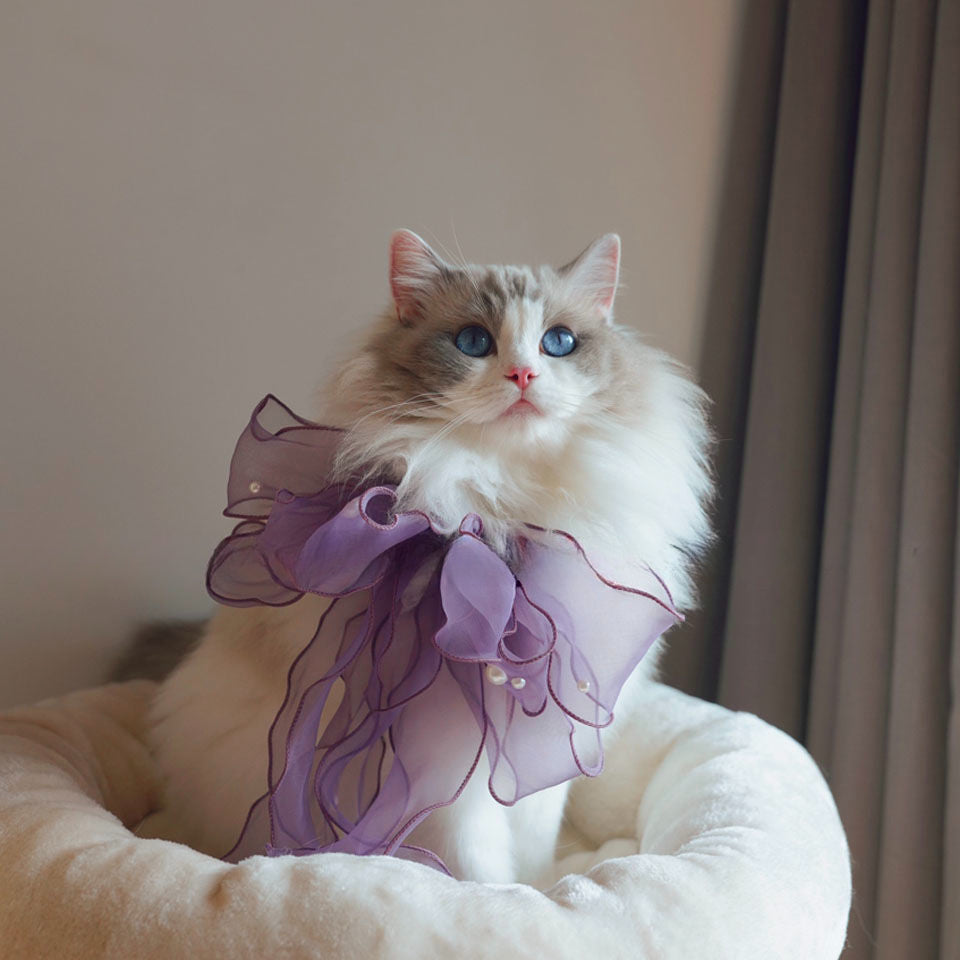 Hand-made cat/dog bow jewelry, saliva towel, collar scarf