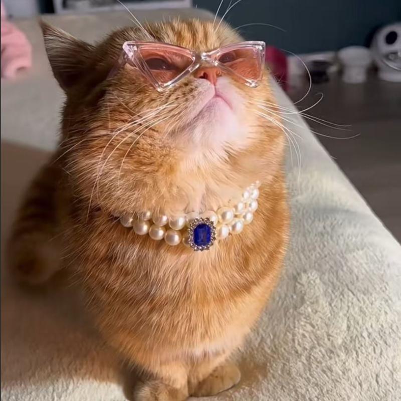 Pet square gemstone collar, cat glasses for photography, dog accessories necklace, collar with diamond.