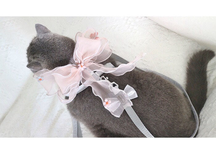 Hand-made romantic leash, bow out cat/dog breathable pet dog chain clothes
