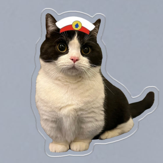 (1 WEEK WAIT) Customized photo, acrylic refrigerator sticker, pet kitten dog, magnet sticker custom
