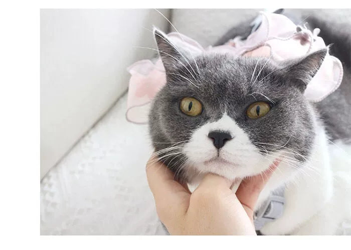 Hand-made romantic leash, bow out cat/dog breathable pet dog chain clothes