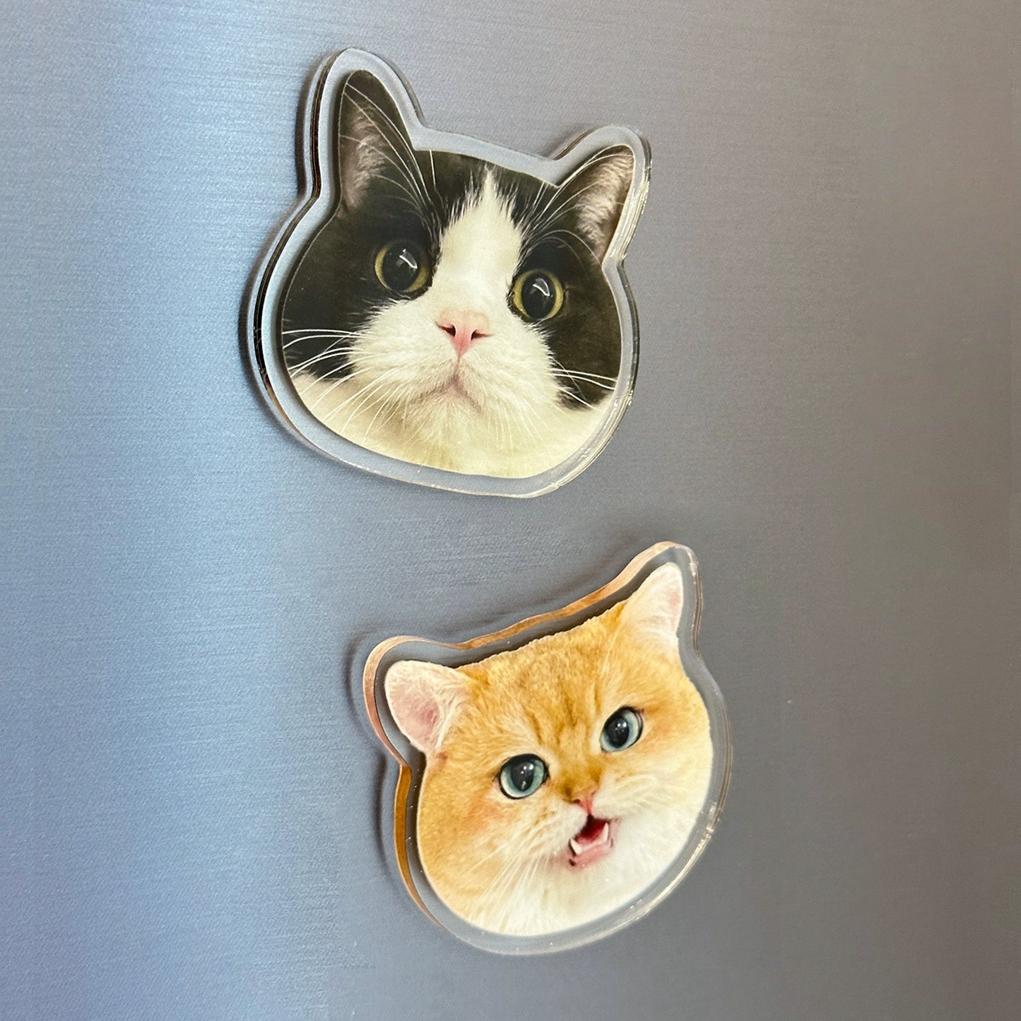 (1 WEEK WAIT) Customized photo, acrylic refrigerator sticker, pet kitten dog, magnet sticker custom