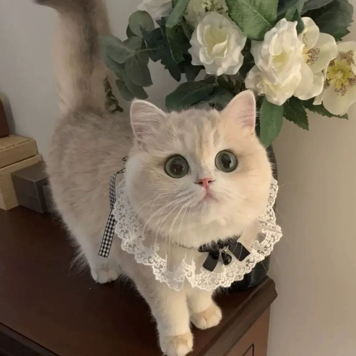 Hand-made cute bow fairy cat/dog saliva towel, lace collar