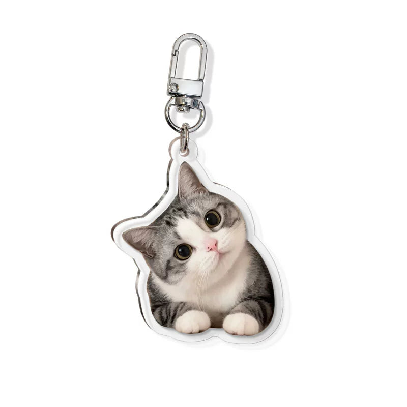 (1 WEEK WAIT) Pet keychain, custom acrylic photo, cat and dog pendant souvenir, transparent keychain