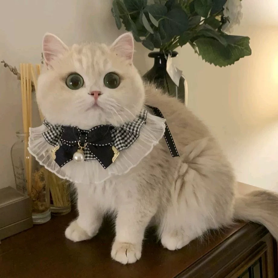 Hand-made cute bow fairy cat/dog saliva towel, lace collar