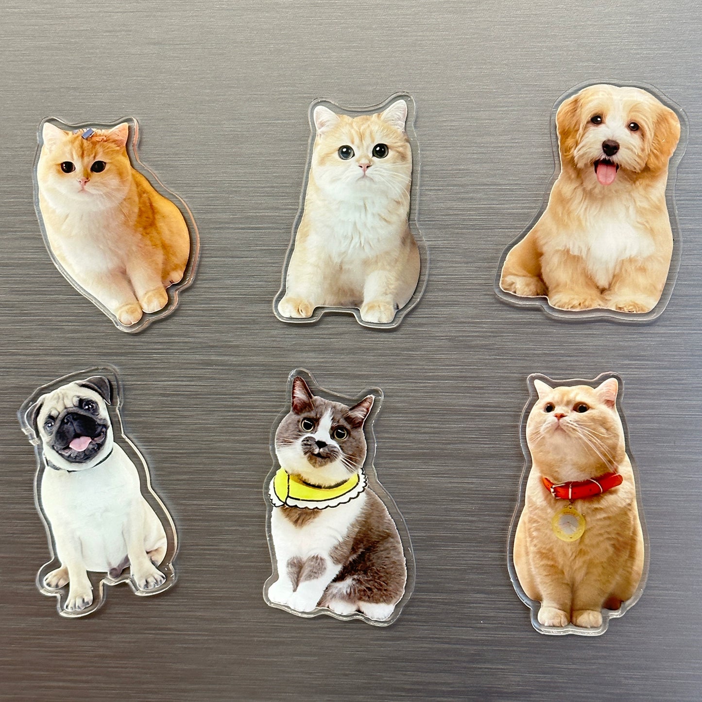 (1 WEEK WAIT) Customized photo, acrylic refrigerator sticker, pet kitten dog, magnet sticker custom