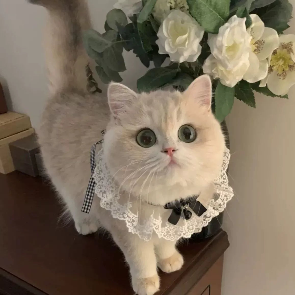 Hand-made cute bow fairy cat/dog saliva towel, lace collar
