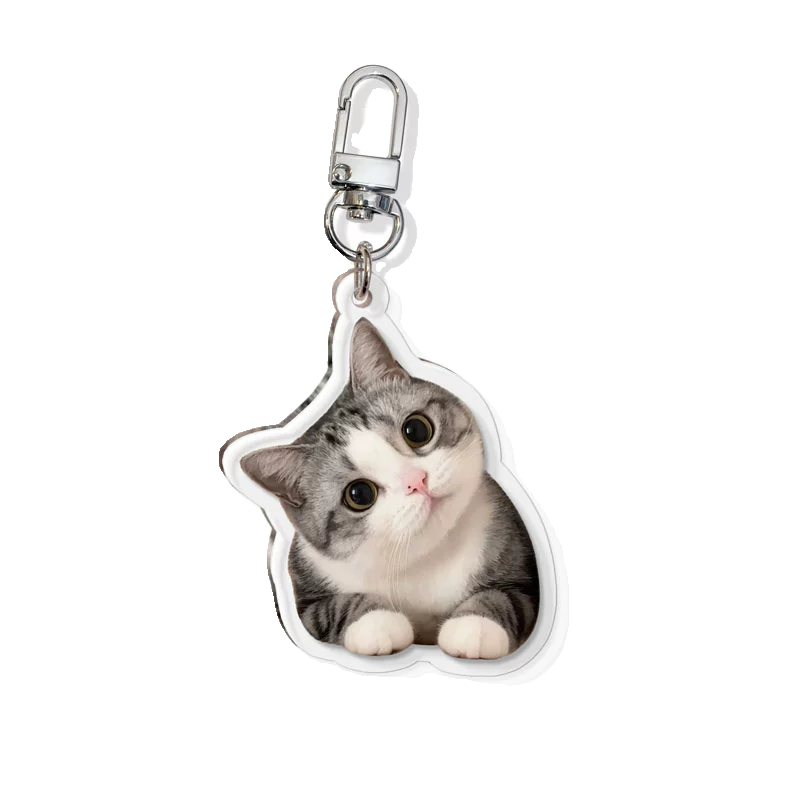 (1 WEEK WAIT) Pet keychain, custom acrylic photo, cat and dog pendant souvenir, transparent keychain