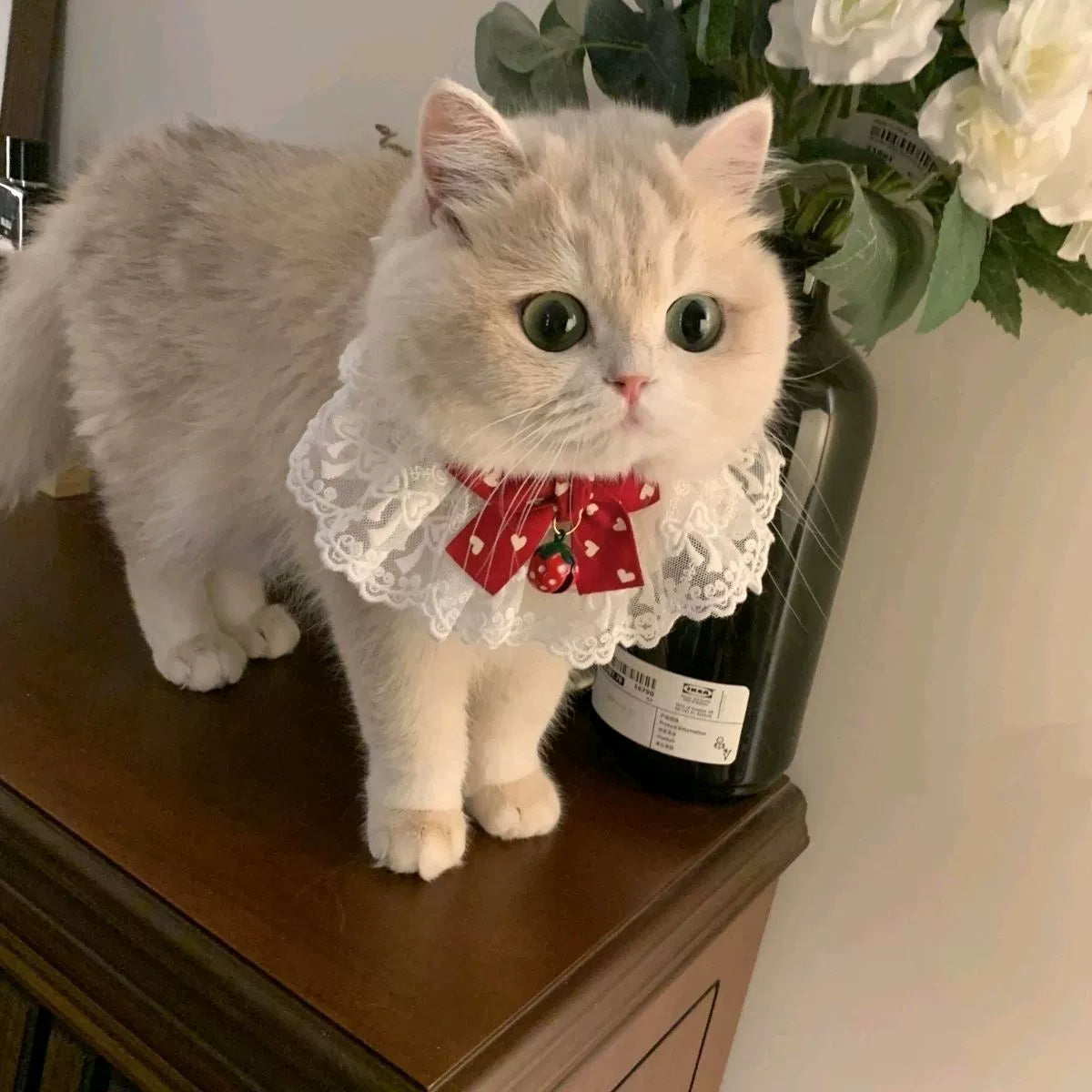 Hand-made cute bow fairy cat/dog saliva towel, lace collar