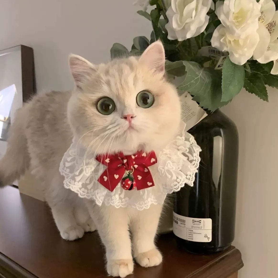Hand-made cute bow fairy cat/dog saliva towel, lace collar