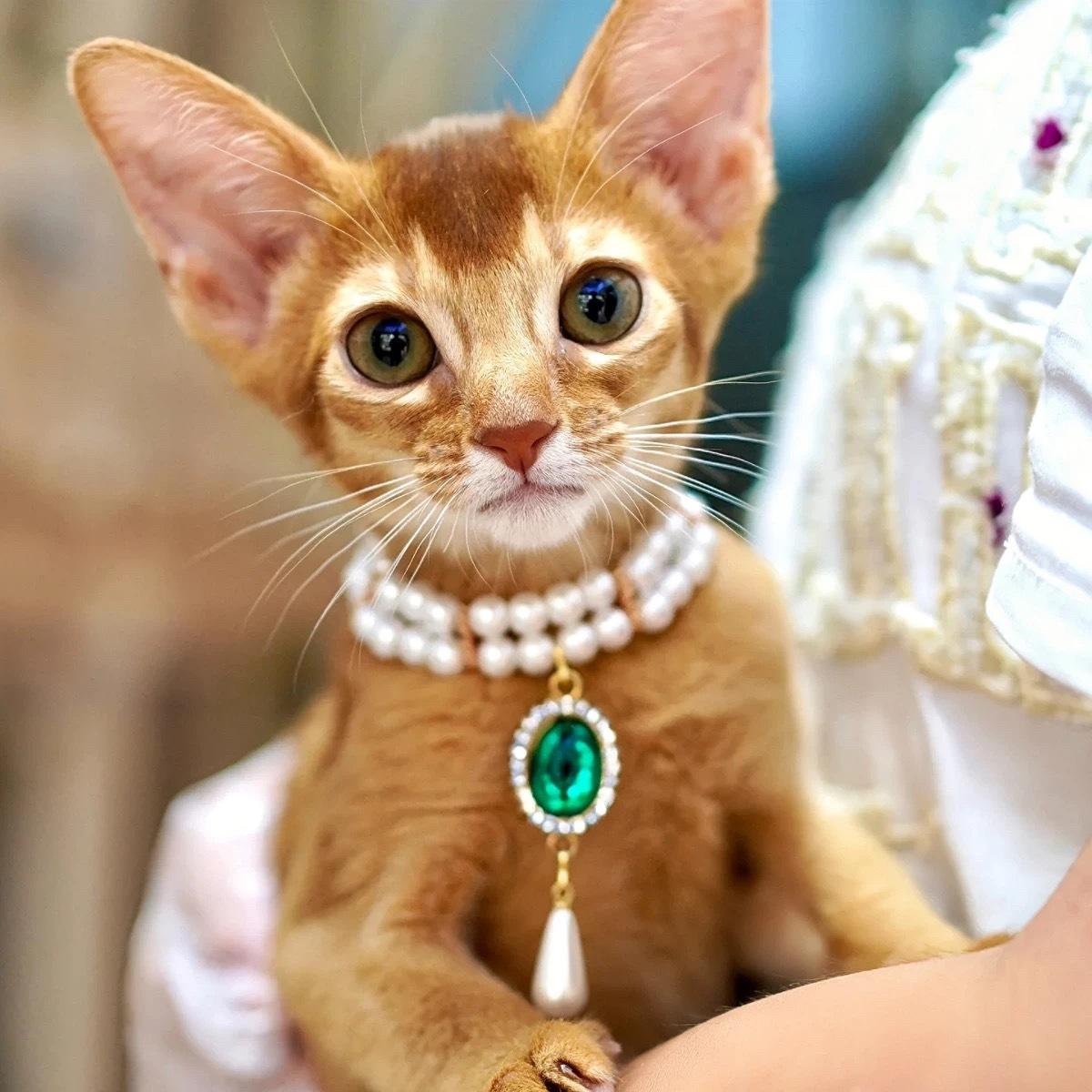 Pet necklace, extravagance, green gemstone multi-layer necklace, suitable for pets within 12kg