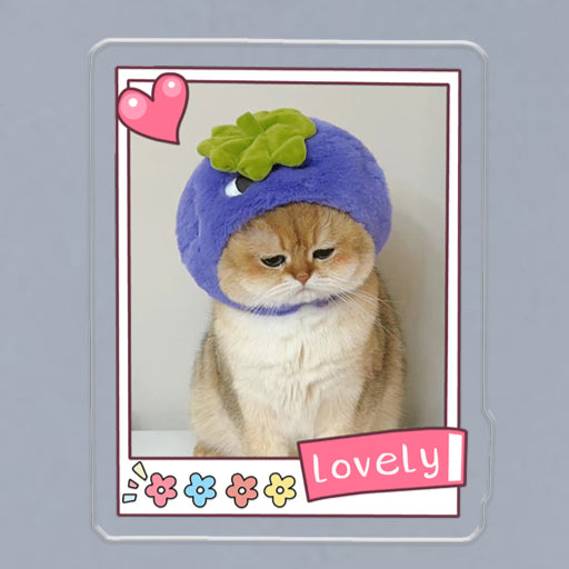(1 WEEK WAIT) Customized photo, acrylic refrigerator sticker, pet kitten dog, magnet sticker custom