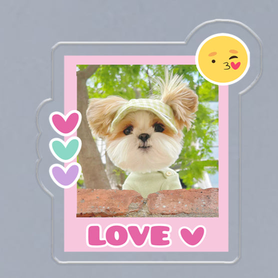 (1 WEEK WAIT) Customized photo, acrylic refrigerator sticker, pet kitten dog, magnet sticker custom