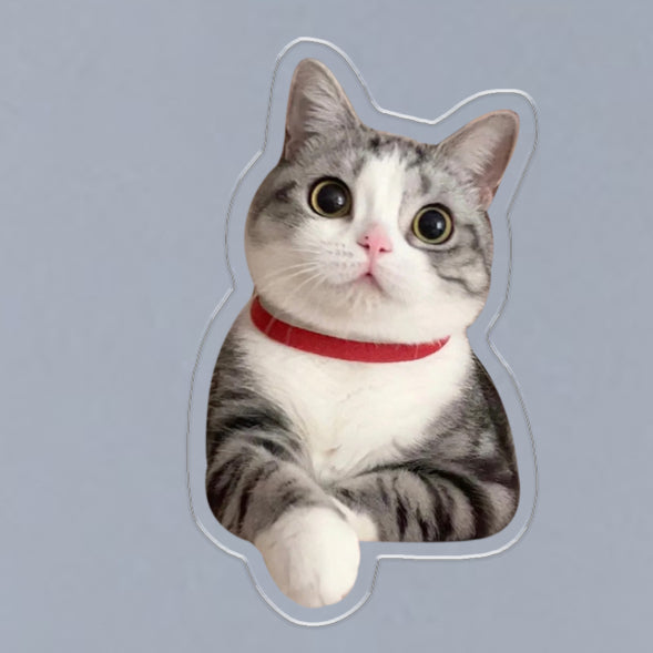 (1 WEEK WAIT) Customized photo, acrylic refrigerator sticker, pet kitten dog, magnet sticker custom