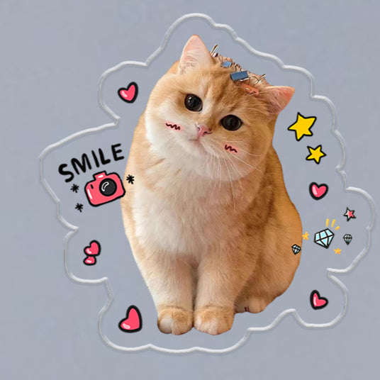 (1 WEEK WAIT) Customized photo, acrylic refrigerator sticker, pet kitten dog, magnet sticker custom