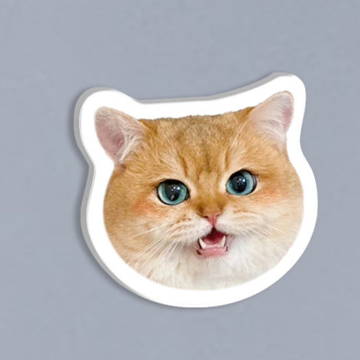 (1 WEEK WAIT) Customized photo, acrylic refrigerator sticker, pet kitten dog, magnet sticker custom