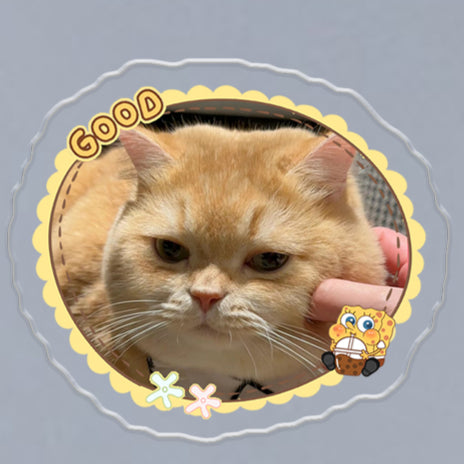 (1 WEEK WAIT) Customized photo, acrylic refrigerator sticker, pet kitten dog, magnet sticker custom