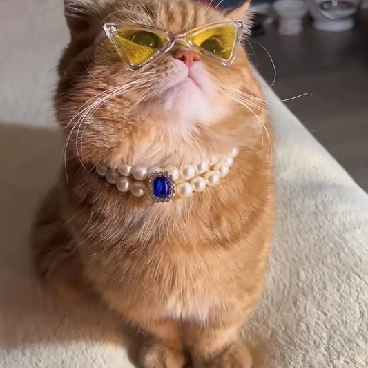 Pet square gemstone collar, cat glasses for photography, dog accessories necklace, collar with diamond.