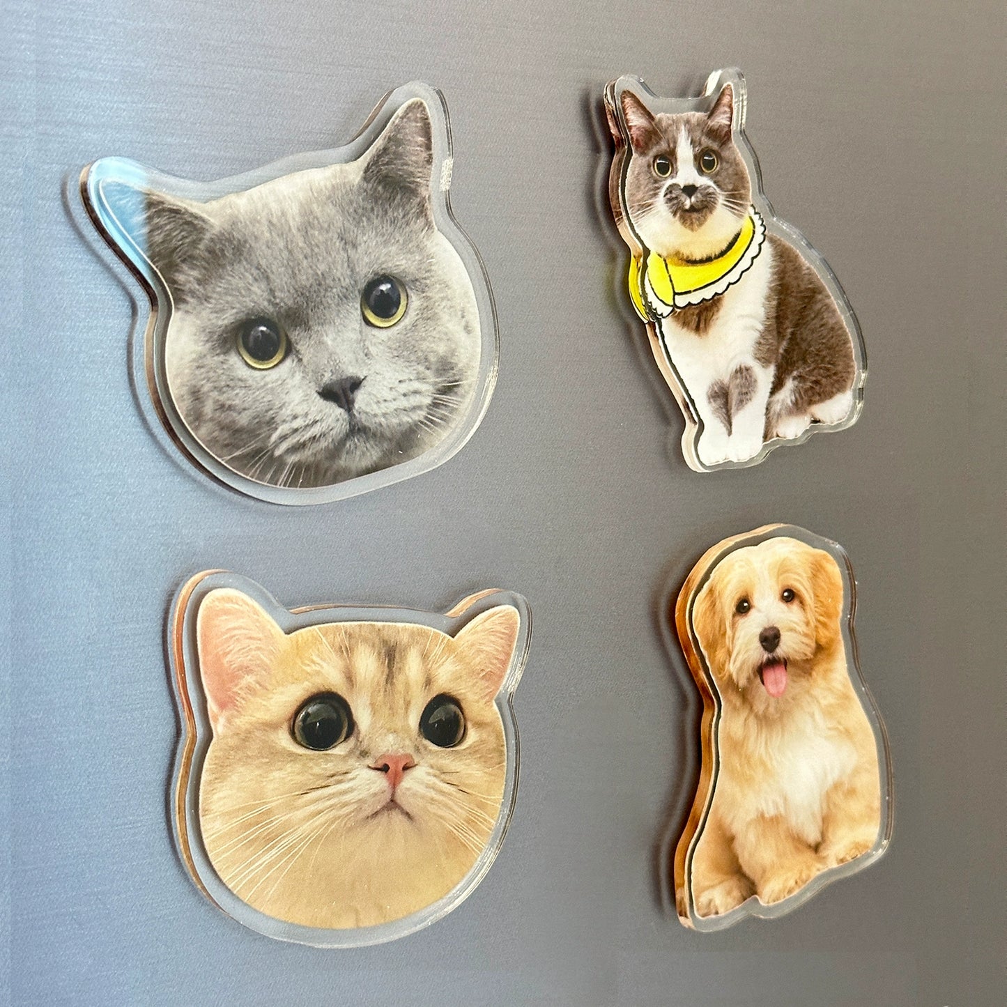 (1 WEEK WAIT) Customized photo, acrylic refrigerator sticker, pet kitten dog, magnet sticker custom