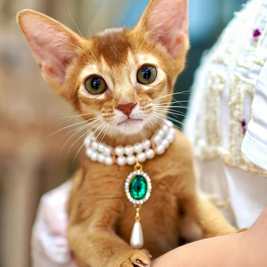 Pet necklace, extravagance, green gemstone multi-layer necklace, suitable for pets within 12kg