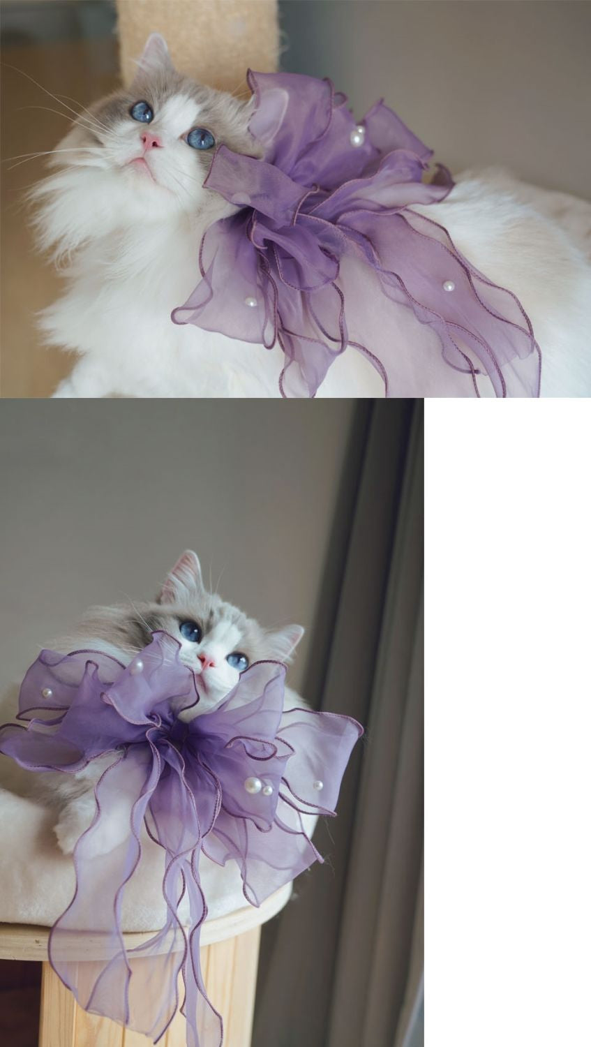 Hand-made cat/dog bow jewelry, saliva towel, collar scarf